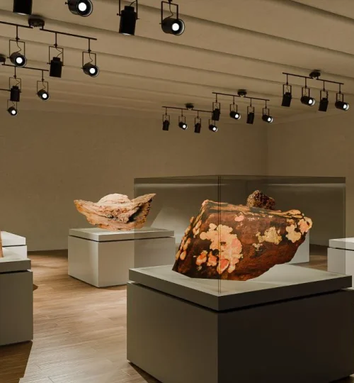 tenth portfolio image