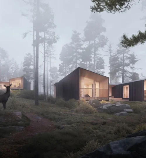 IMG_20251201_125859_917